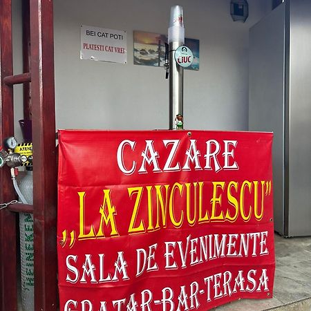 Hotel La Zinculescu Albestii Paminteni Exterior foto