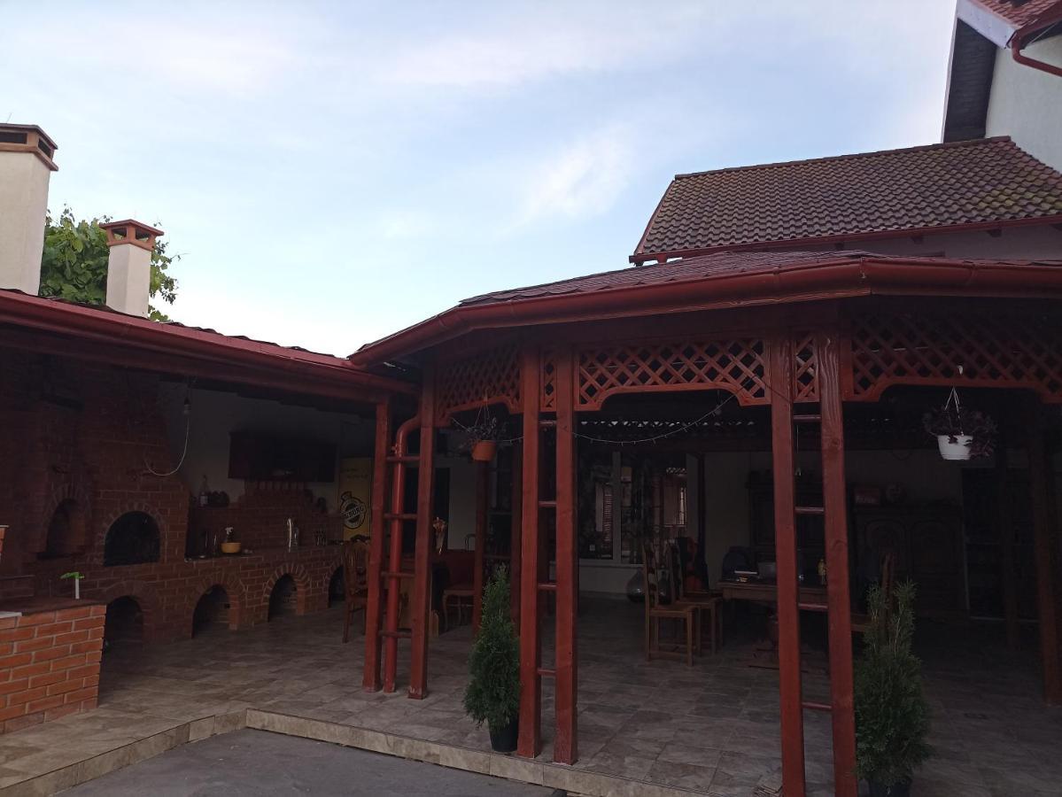 Hotel La Zinculescu Albestii Paminteni Exterior foto