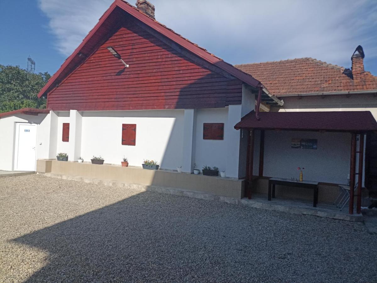 Hotel La Zinculescu Albestii Paminteni Exterior foto