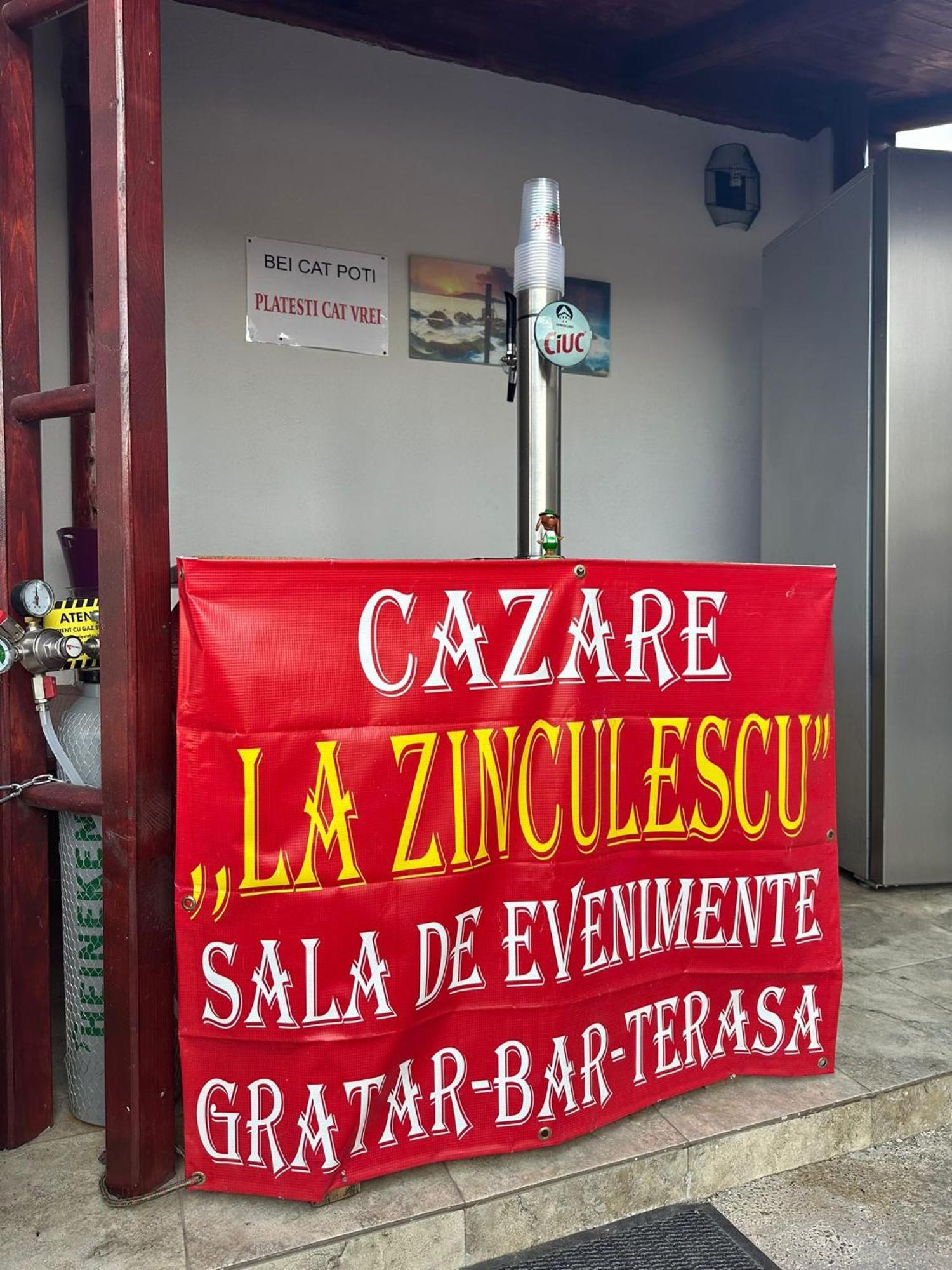 Hotel La Zinculescu Albestii Paminteni Exterior foto